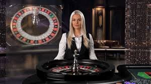 333bet14