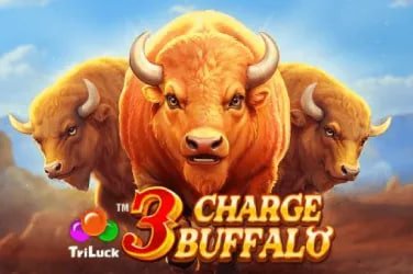 333bet14
