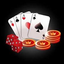 333bet14
