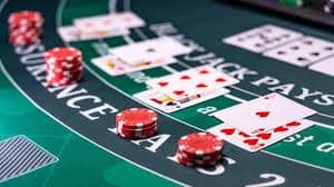 333bet14