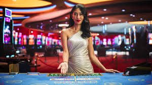 333bet14