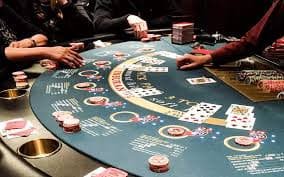 333bet14